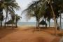 SENEGAL - LA PETITE COTE - DOMAINE DE NIANING****