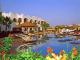 wita w Egipcie - Sharm El Sheikh - Domina Coral Bay *****